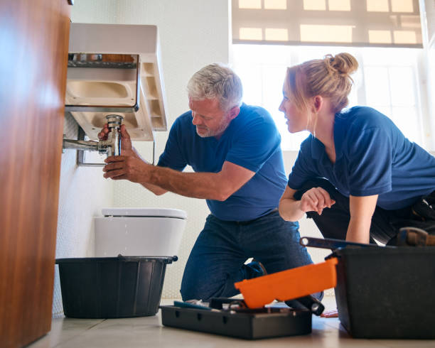 Best Emergency Plumbing Services in Royal Oak, MI